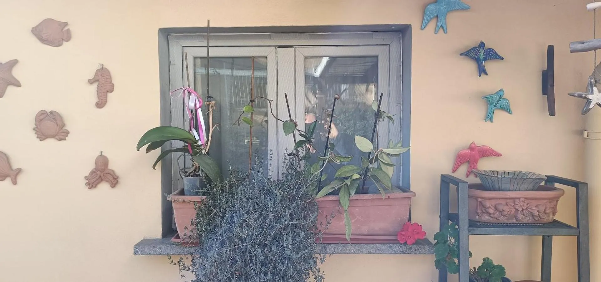 Casa Glicine Apartment Piombino Italy
